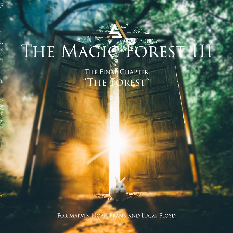 Ambient Studio / Frank Wienands - Ambient & Electronic Music - Magic Forest III